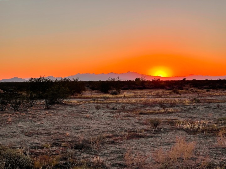 Chill As Folk: A Musical Escape to Soothe the Soul