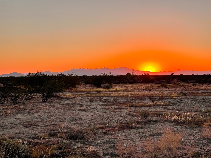 Chill As Folk: A Musical Escape to Soothe the Soul